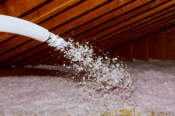 Best Residential Insulation in Woodbine, GA